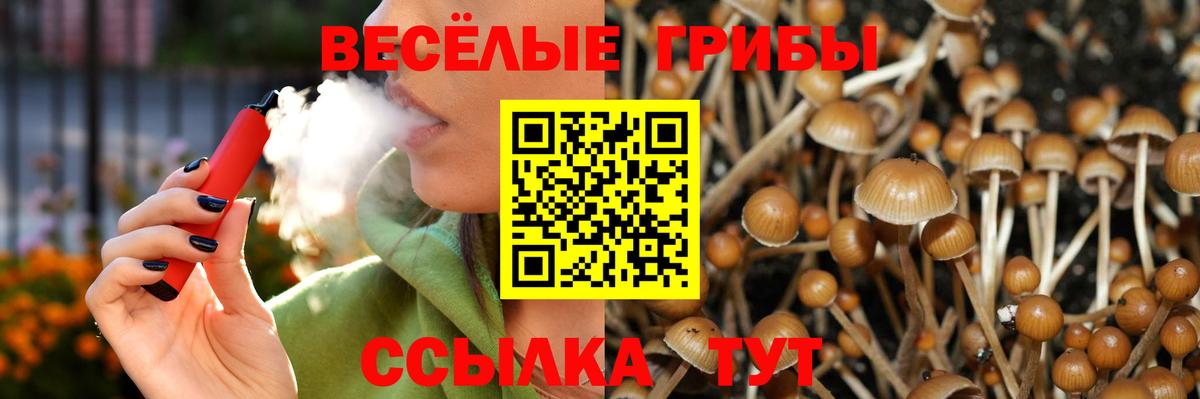 Псилоцибиновые грибы ЛСД  Вход с VPN  Пятигорск  Галлюциногенные грибы Psilocybe 