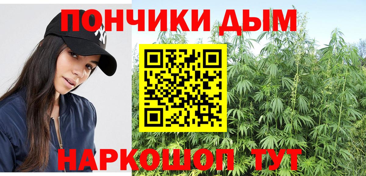 Каннабис план Пятигорск